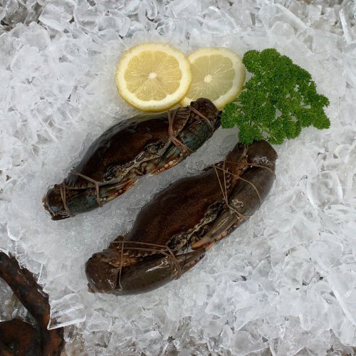 FROZEN WHOLE MUD CRAB 300-400G EA