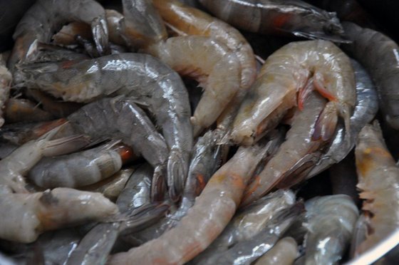 Frozen Shrimps / Frozen Lobsters