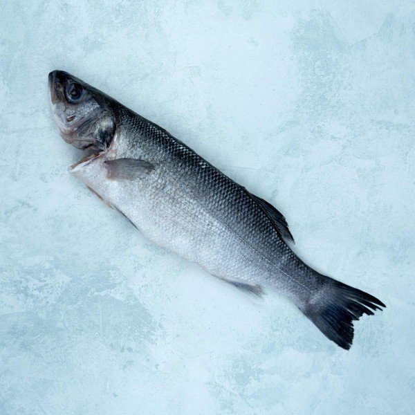 WHOLE SEA BASS