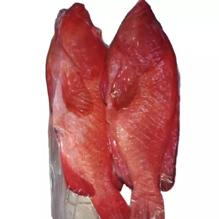 U7510b3c5a14b48b58ca5df0f0bbf40087.jpg_960x960 FROZEN RED GROUPER - Image 1