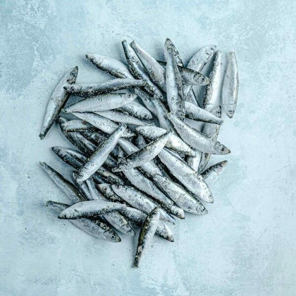 Whitebait-2_600x600 WHITEBAIT - 1 BAG - Image 1