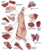 7 Bone Chuck Roast - Image 2