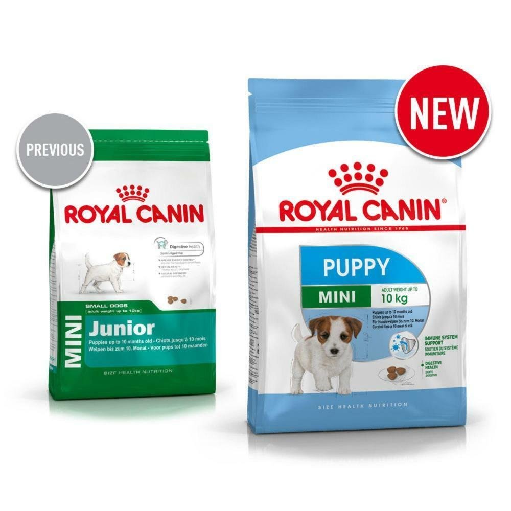 Royal Canin Mini Junior 33 Complete Dry Dog Food 800g NOW PUPPY